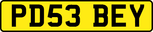 PD53BEY