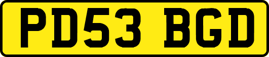 PD53BGD