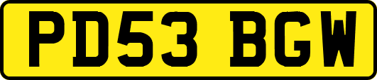 PD53BGW