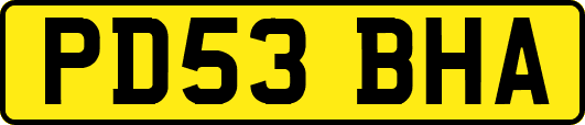 PD53BHA