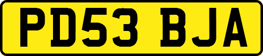 PD53BJA