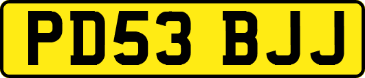 PD53BJJ