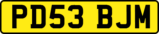 PD53BJM