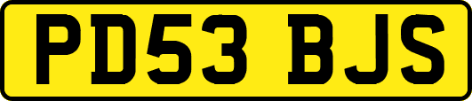 PD53BJS