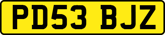 PD53BJZ