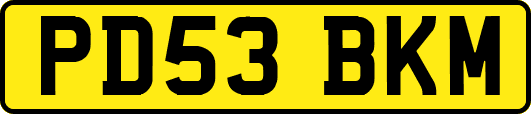 PD53BKM