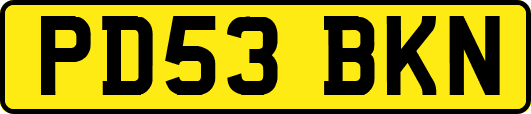 PD53BKN