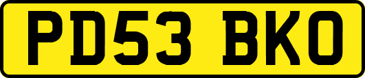 PD53BKO
