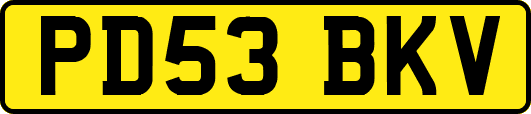 PD53BKV