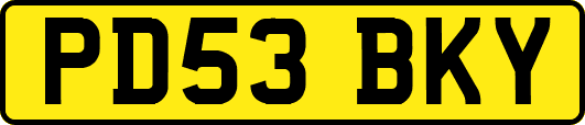 PD53BKY