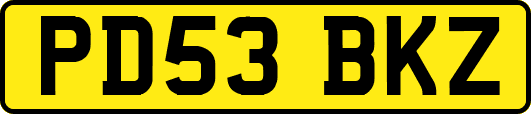 PD53BKZ