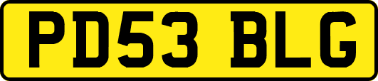 PD53BLG