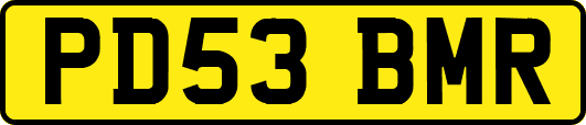 PD53BMR