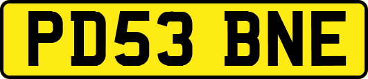 PD53BNE