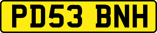 PD53BNH