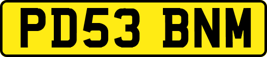 PD53BNM