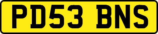 PD53BNS