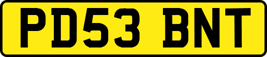 PD53BNT