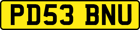 PD53BNU