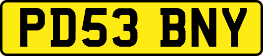 PD53BNY