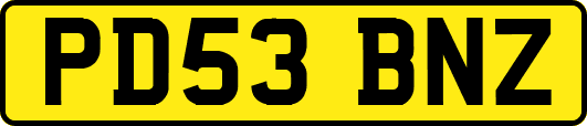 PD53BNZ