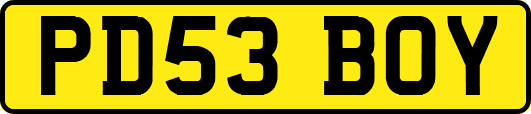 PD53BOY