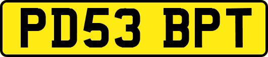 PD53BPT