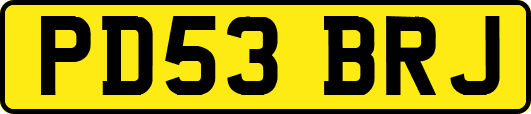 PD53BRJ