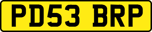 PD53BRP