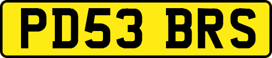 PD53BRS