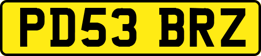 PD53BRZ