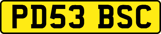 PD53BSC