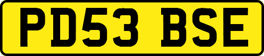 PD53BSE