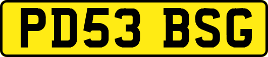 PD53BSG