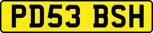 PD53BSH