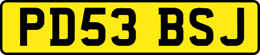 PD53BSJ