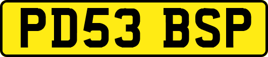 PD53BSP