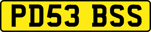 PD53BSS