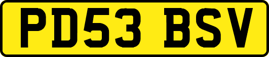 PD53BSV