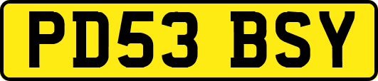 PD53BSY