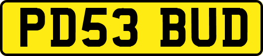 PD53BUD