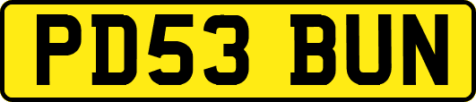PD53BUN