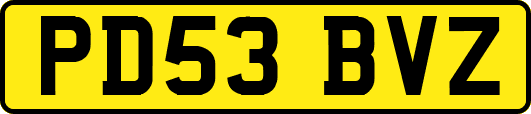 PD53BVZ