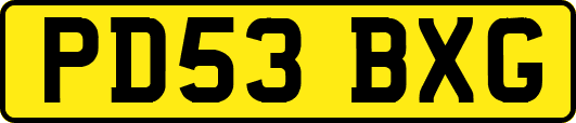 PD53BXG