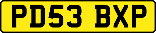 PD53BXP