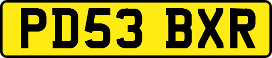 PD53BXR