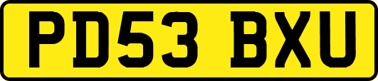 PD53BXU