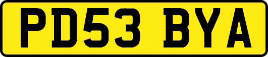 PD53BYA