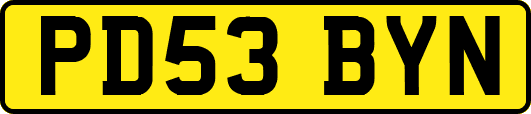 PD53BYN