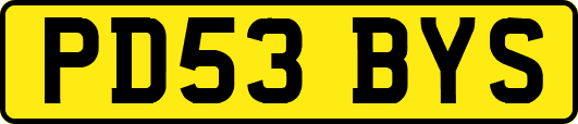 PD53BYS